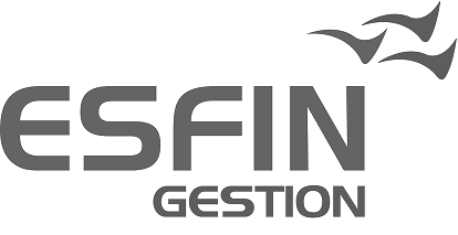 2logo-esfin
